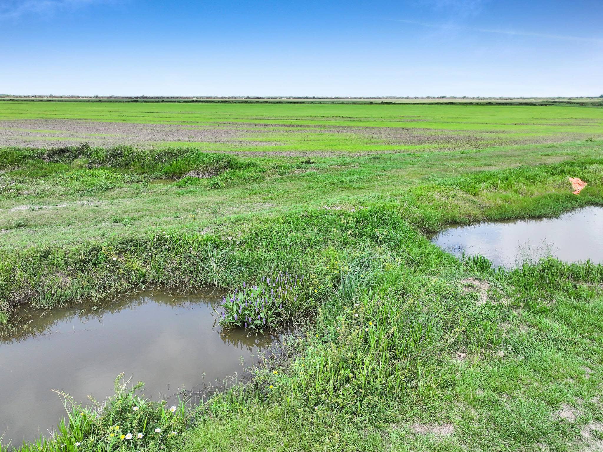 Premier Texas Rice Farm & Duck Hunting Ranch for Sale