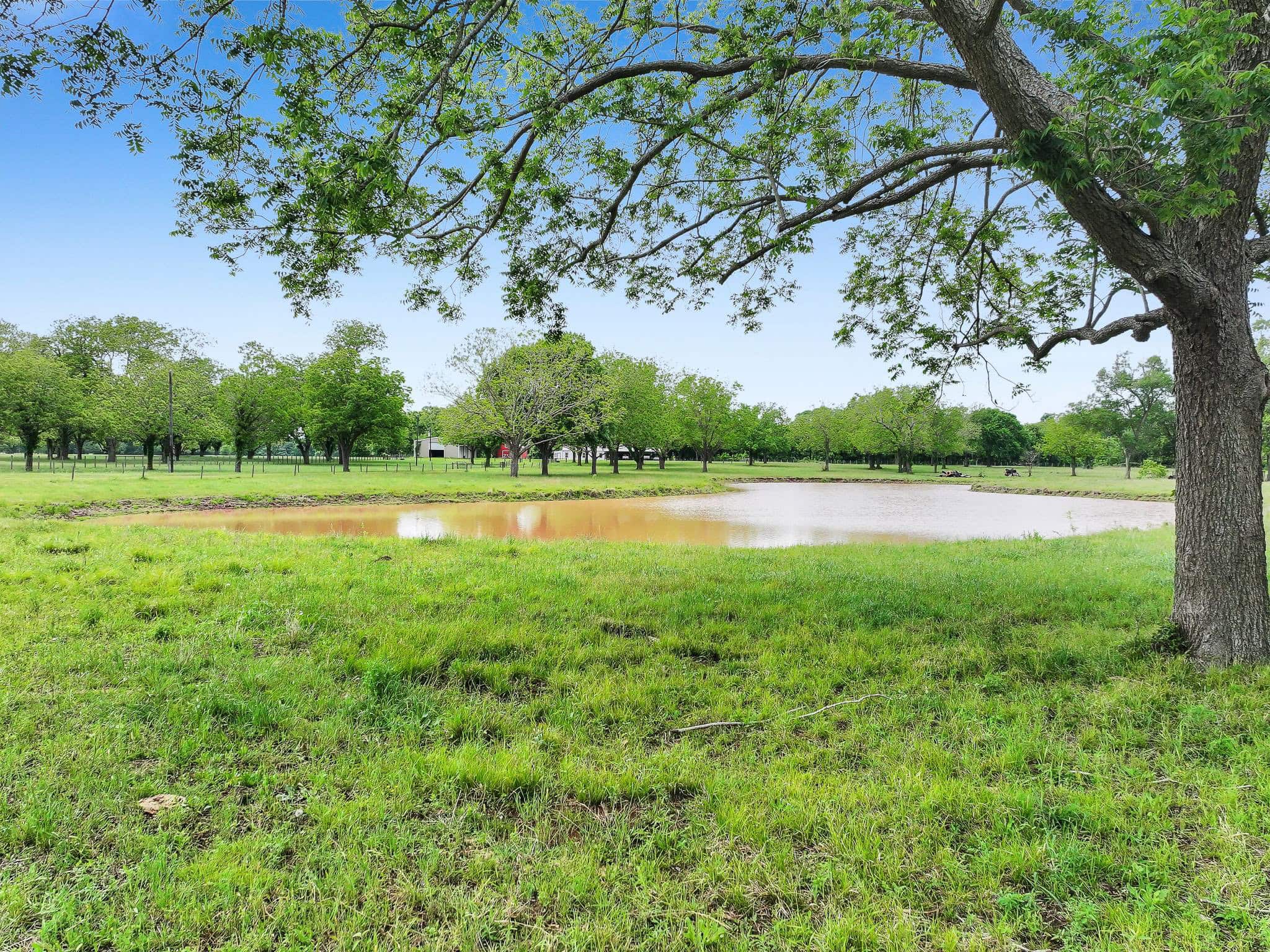 Large stocked fishing pond | Brookshire Texas Ranch for Sale Near Houston