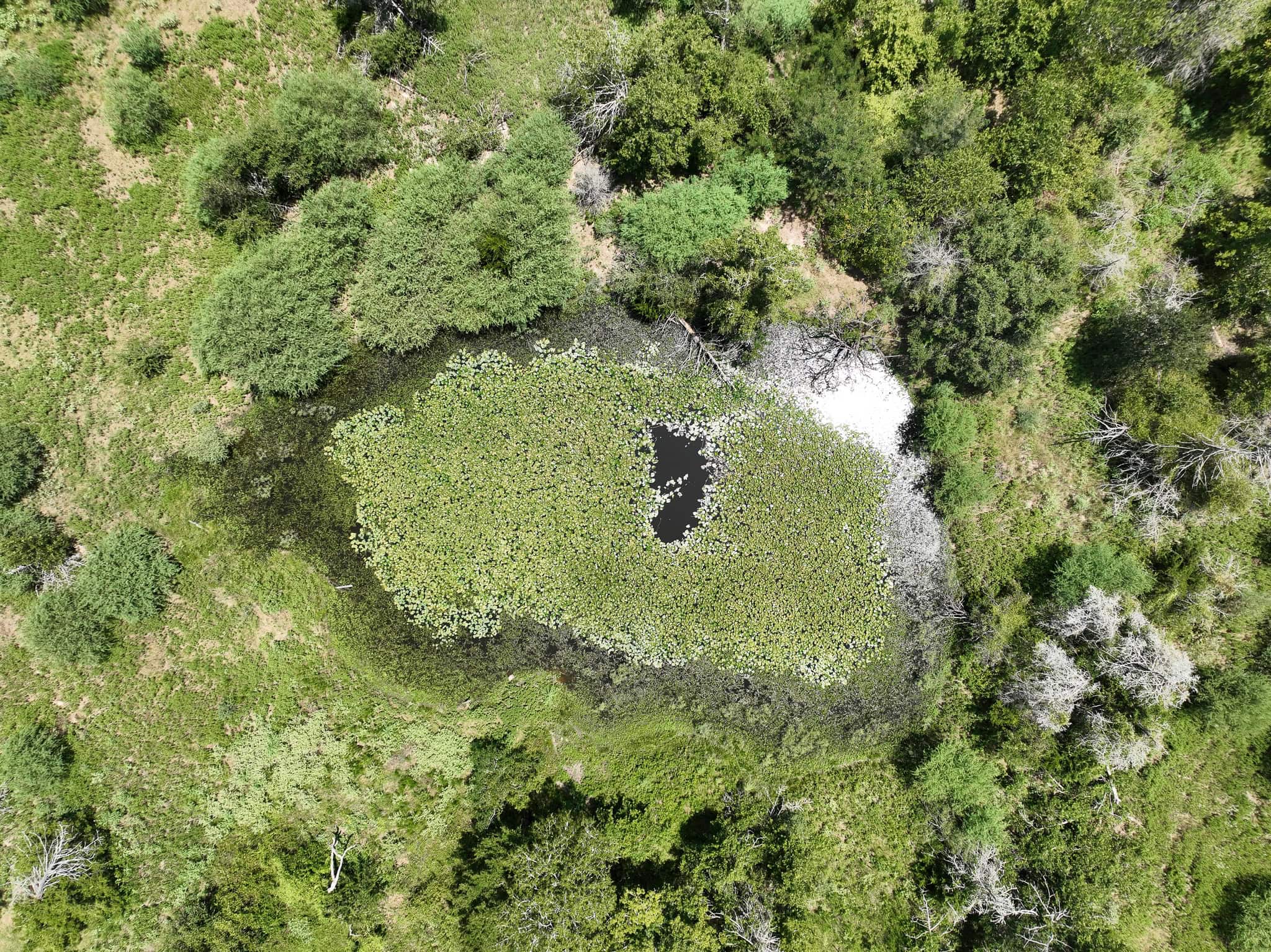 Four Ponds Add Beauty, Recreation & Function